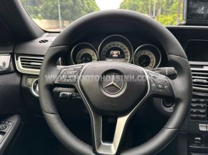 Xe Mercedes Benz E250 2014