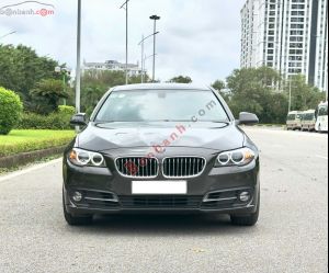 Xe BMW 520i 2015