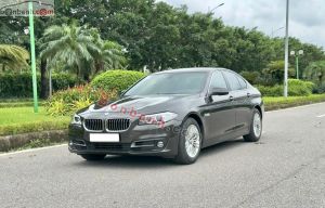 Xe BMW 520i 2015