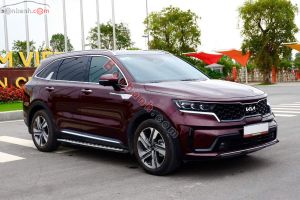 Xe Kia Sorento Signature 2.2 AT AWD 2024