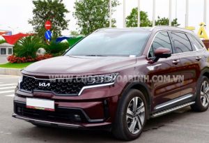 Xe Kia Sorento Signature 2.2 AT AWD 2024