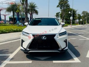 Xe Lexus RX 300 2019