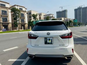 Xe Lexus RX 300 2019