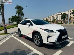 Xe Lexus RX 300 2019