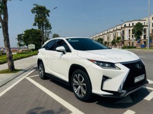 Xe Lexus RX 300 2019