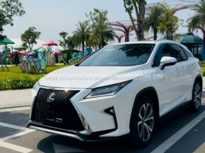 Xe Lexus RX 300 2019