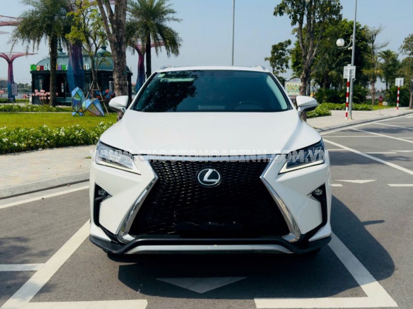 Lexus RX 300 2019
