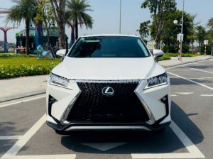 Xe Lexus RX 300 2019