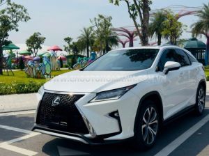 Xe Lexus RX 300 2019