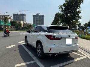Xe Lexus RX 300 2019